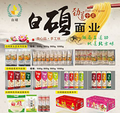 河南白碩面業(yè)有限公司