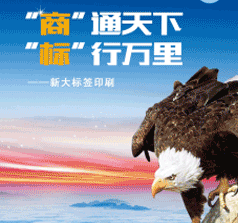 山東新大印刷
