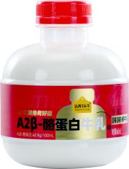 圖片29.jpg